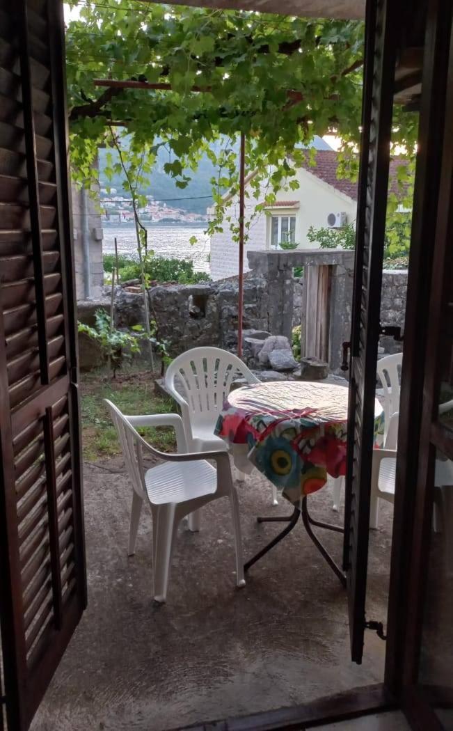 Apartments Vukasovic コトル エクステリア 写真