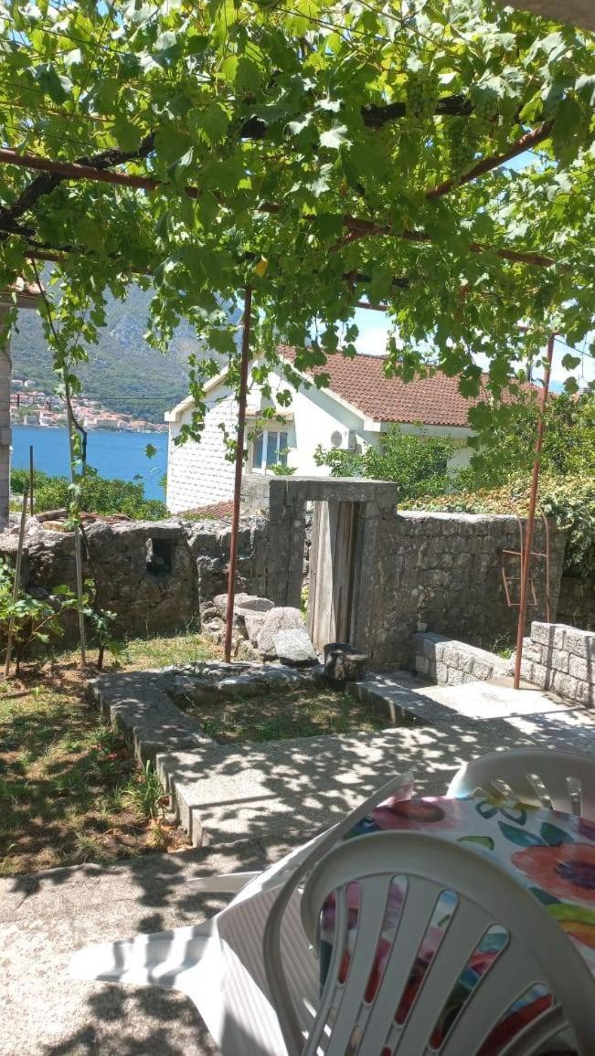 Apartments Vukasovic コトル エクステリア 写真